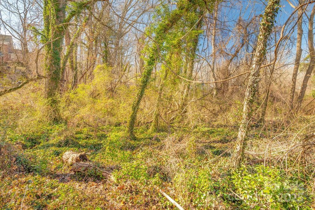 99999 Millbrook Road Asheville NC 28806