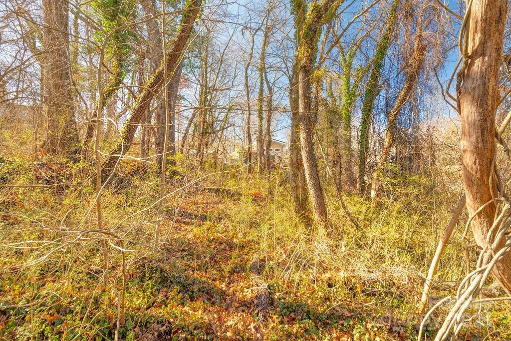 99999 Millbrook Road Asheville NC 28806