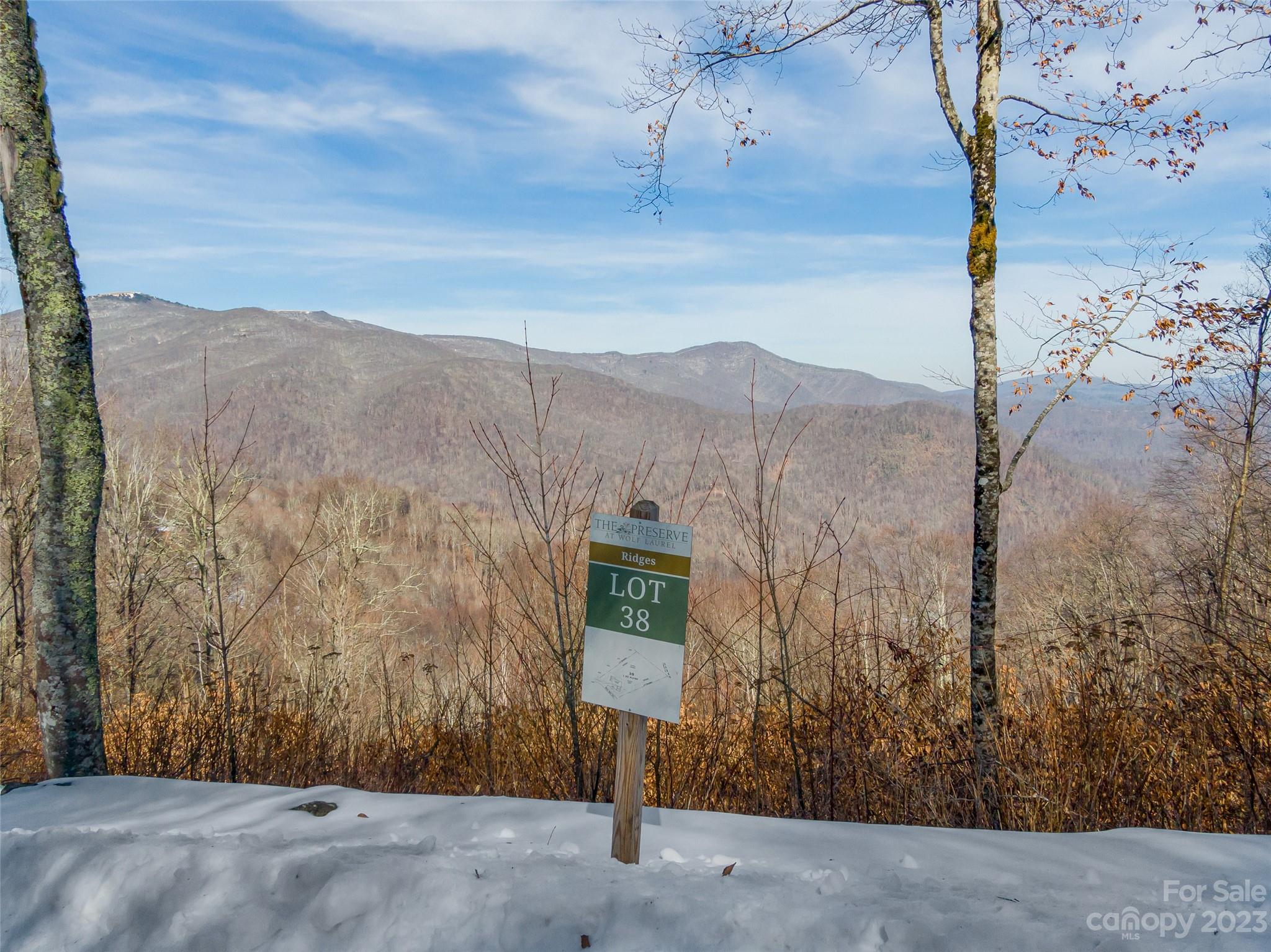 Lot 38 Black Bear Run Mars Hill NC 28754