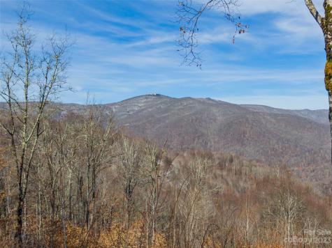 Lot 38 Black Bear Run Mars Hill NC 28754