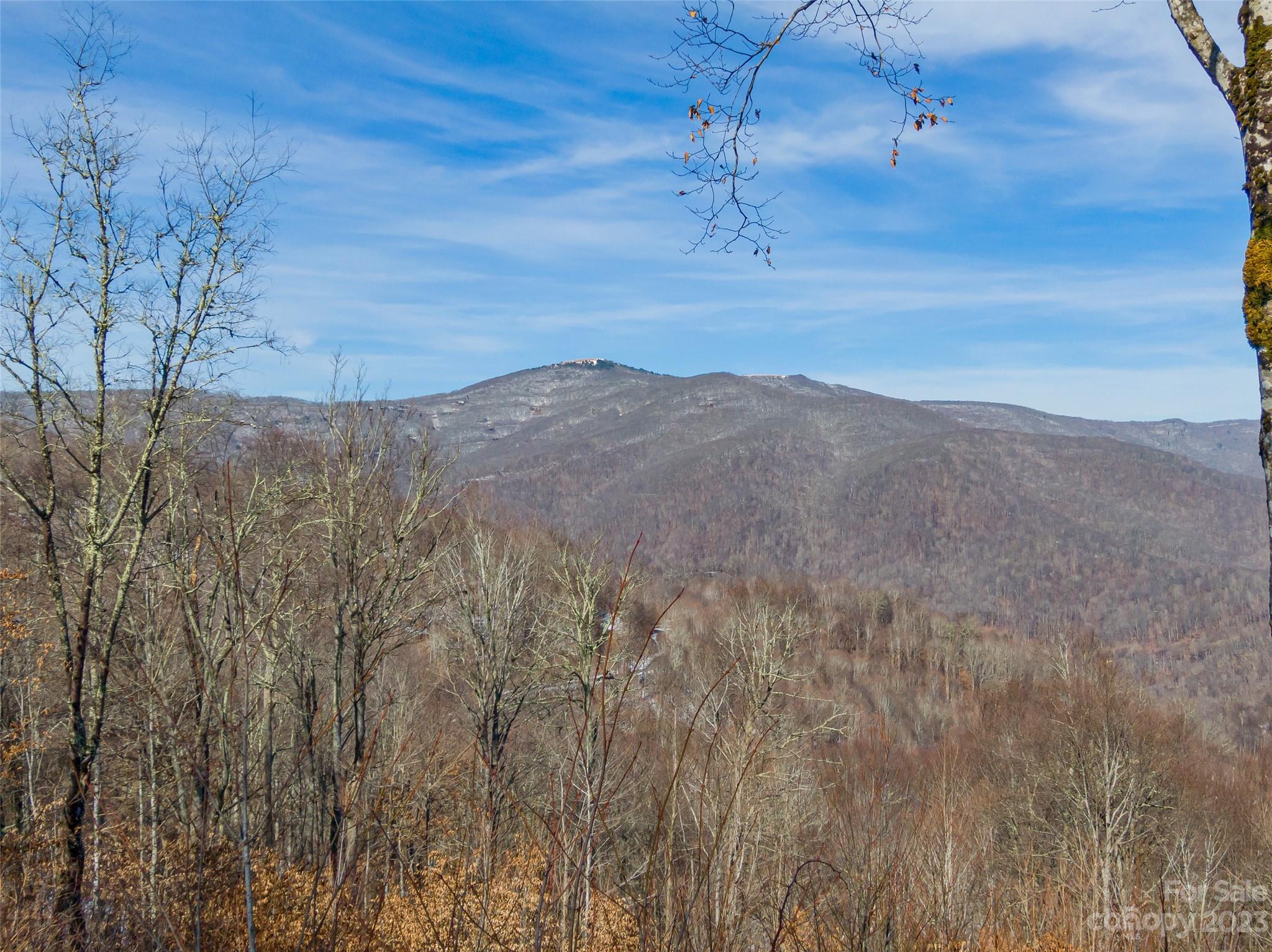 Lot 38 Black Bear Run Mars Hill NC 28754