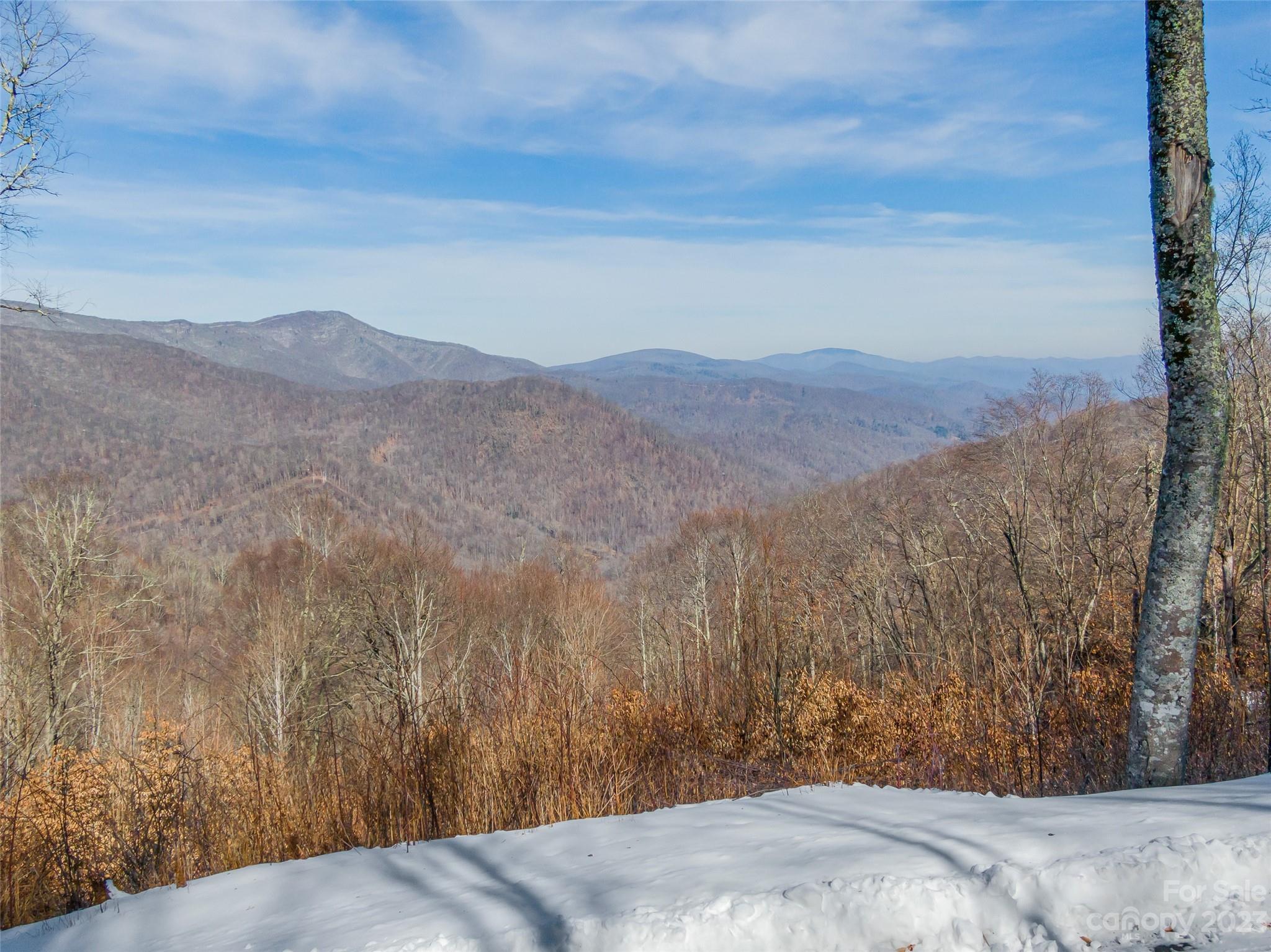 Lot 38 Black Bear Run Mars Hill NC 28754
