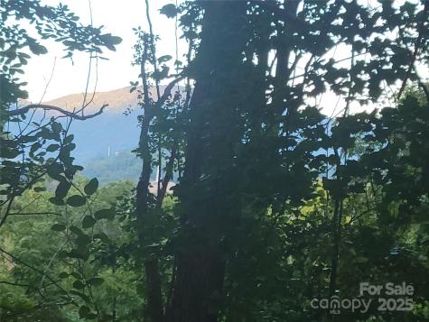 0 Blink Bonny Drive Waynesville NC 28786