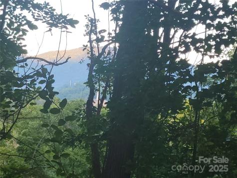 0 Blink Bonny Drive Waynesville NC 28786