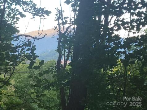 0 Blink Bonny Drive Waynesville NC 28786