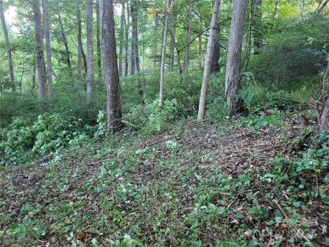 0 Blink Bonny Drive Waynesville NC 28786