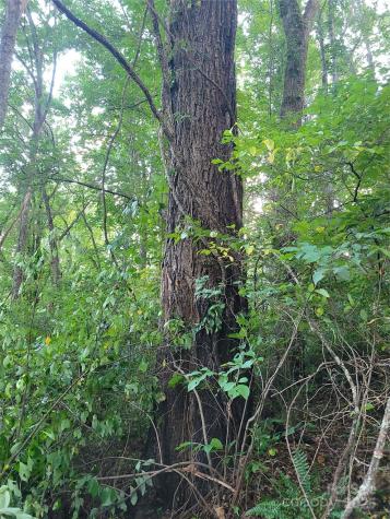 0 Blink Bonny Drive Waynesville NC 28786