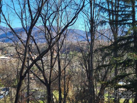 0 Blink Bonny Drive Waynesville NC 28786