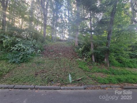 0 Blink Bonny Drive Waynesville NC 28786