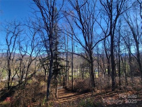 0 Blink Bonny Drive Waynesville NC 28786