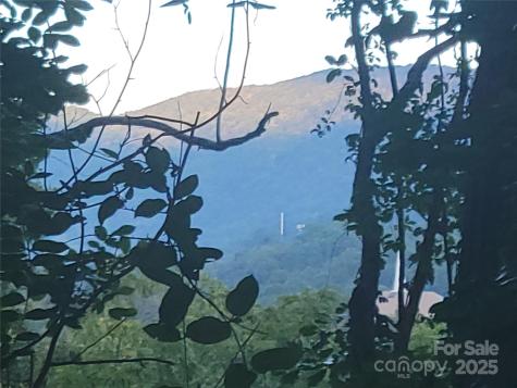 0 Blink Bonny Drive Waynesville NC 28786