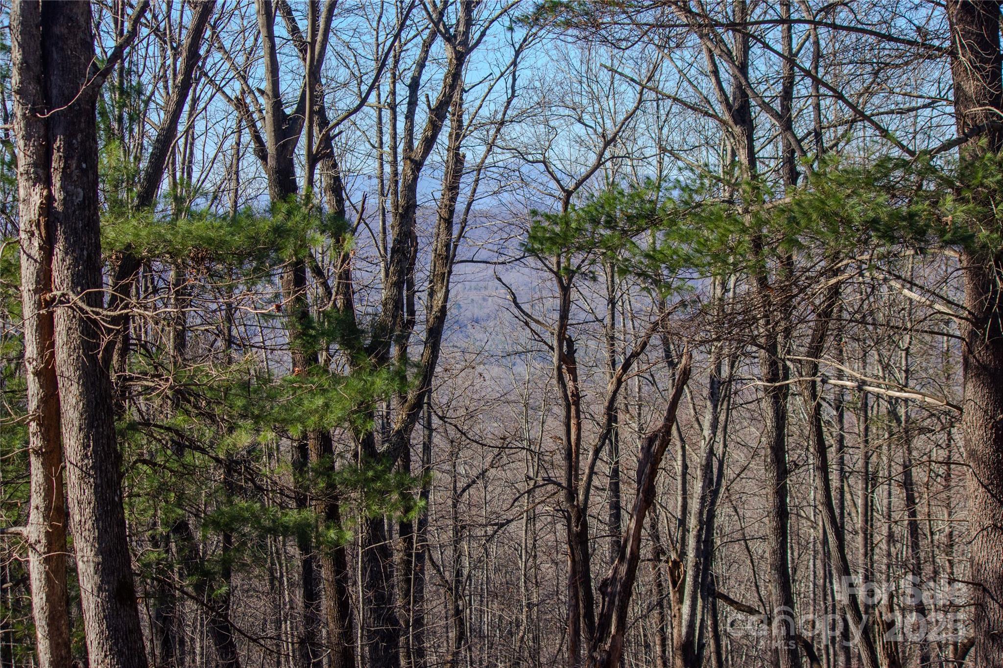 2210 Nighthawk Ridge Court Lenoir NC 28645