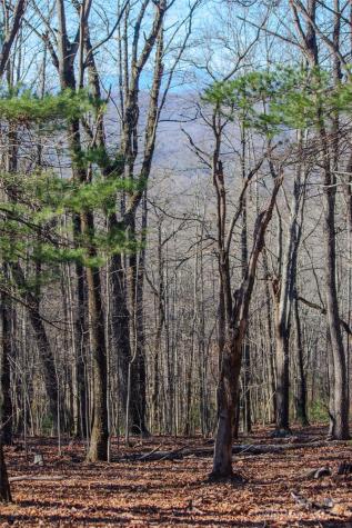 2210 Nighthawk Ridge Court Lenoir NC 28645