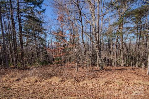 2210 Nighthawk Ridge Court Lenoir NC 28645