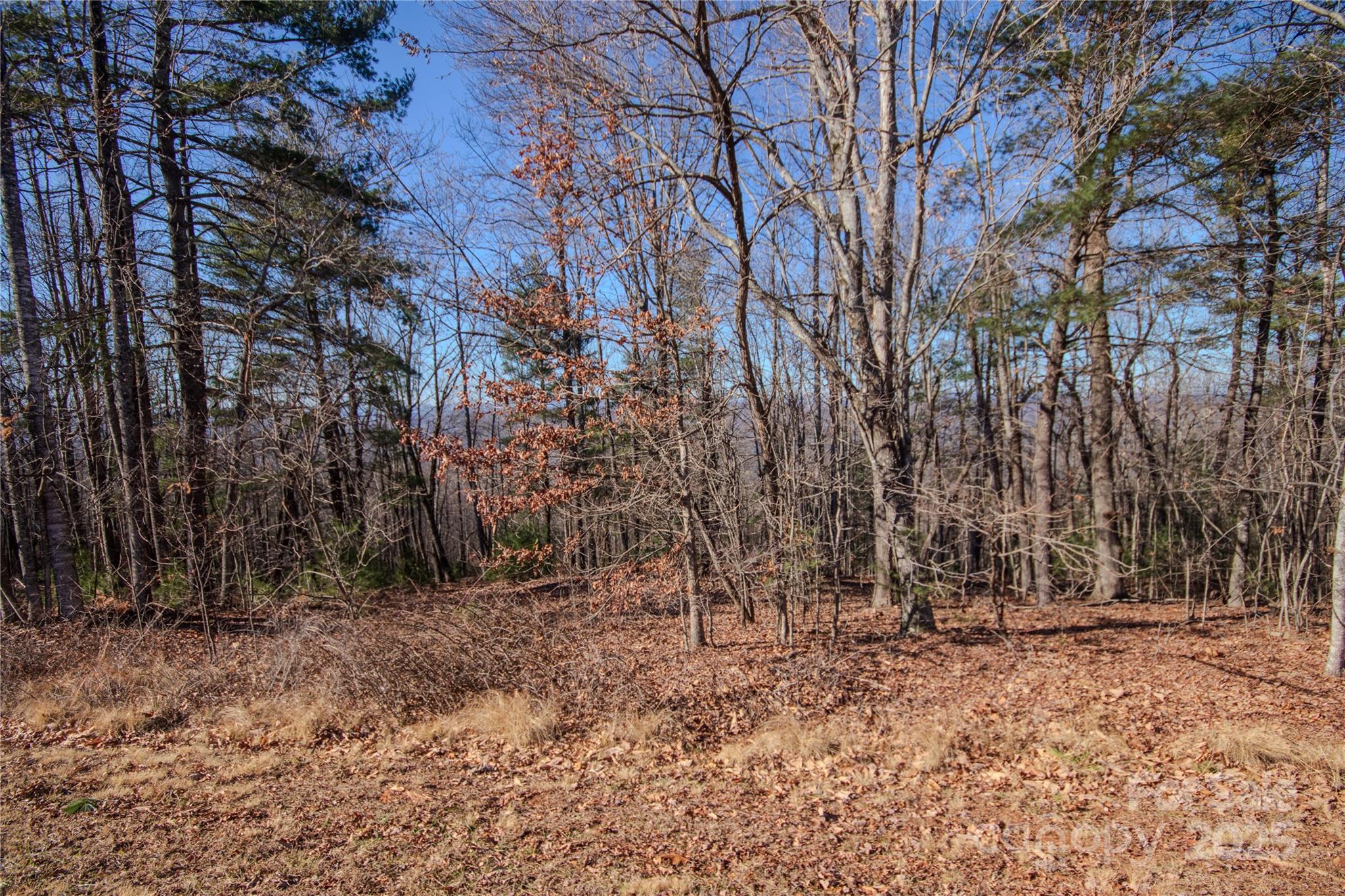 2210 Nighthawk Ridge Court Lenoir NC 28645