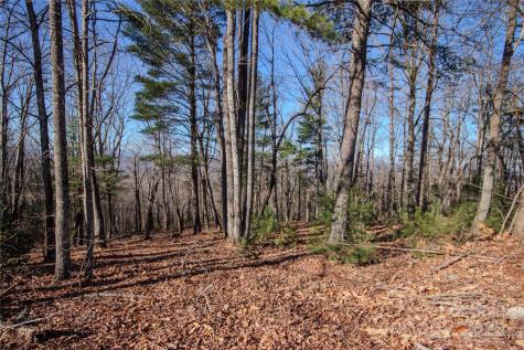 2210 Nighthawk Ridge Court Lenoir NC 28645