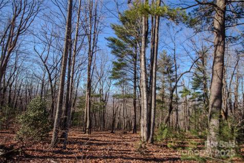 2210 Nighthawk Ridge Court Lenoir NC 28645