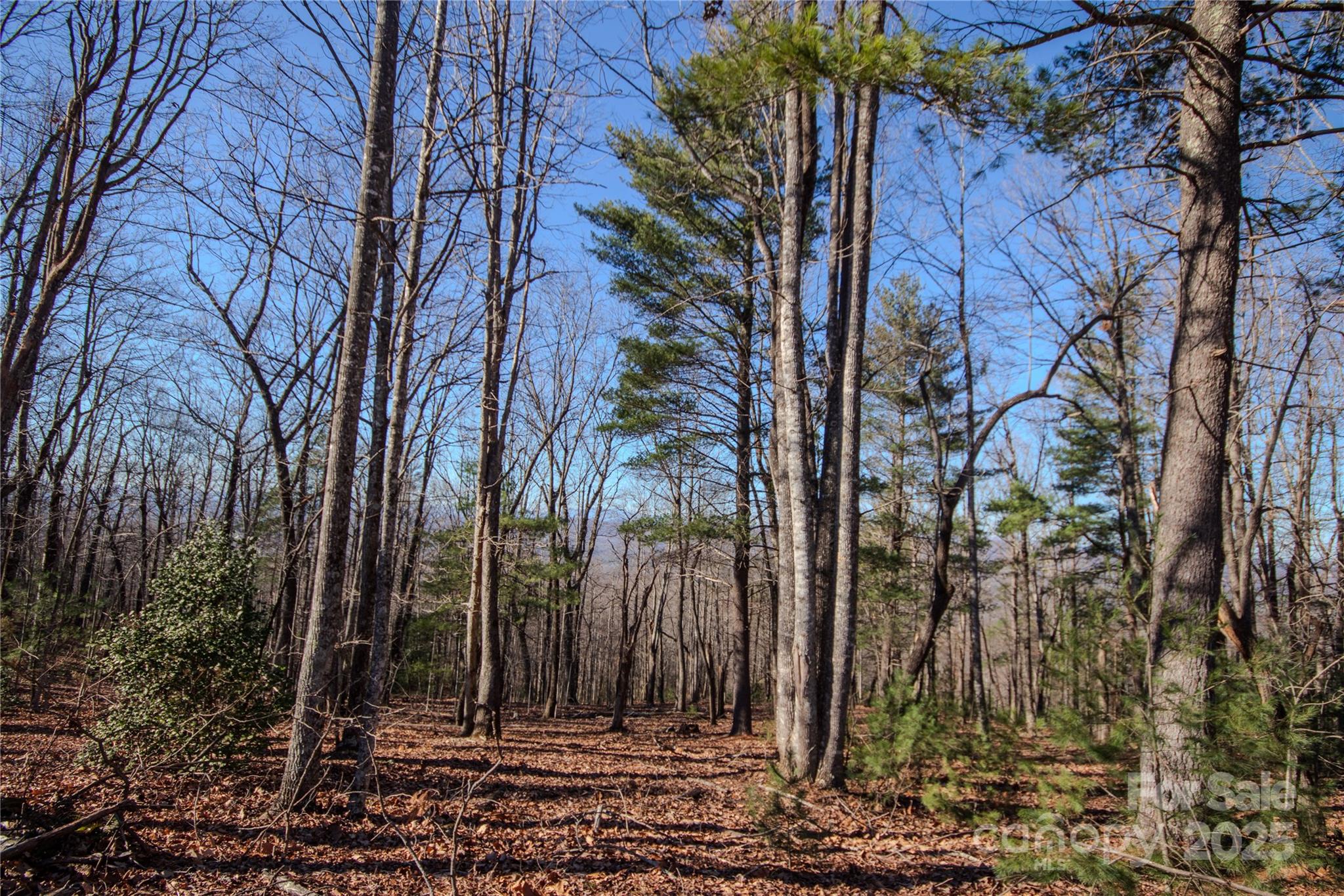 2210 Nighthawk Ridge Court Lenoir NC 28645