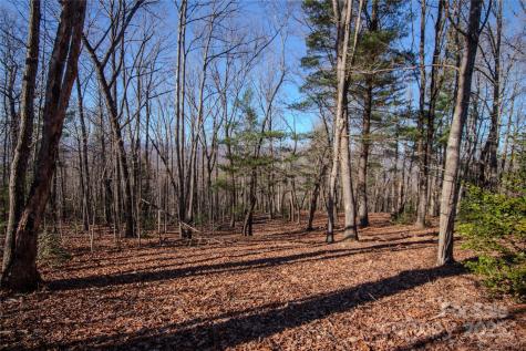 2210 Nighthawk Ridge Court Lenoir NC 28645