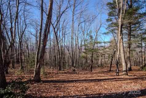 2210 Nighthawk Ridge Court Lenoir NC 28645