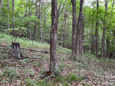 286 Frontier Drive West Jefferson NC 28694
