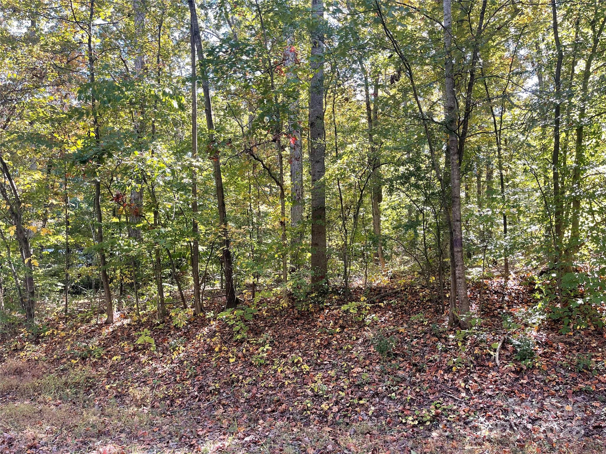 00 Heather Lane Mount Holly NC 28120