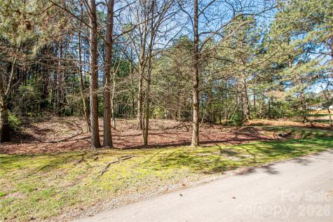 0 Michelle Court Matthews NC 28104