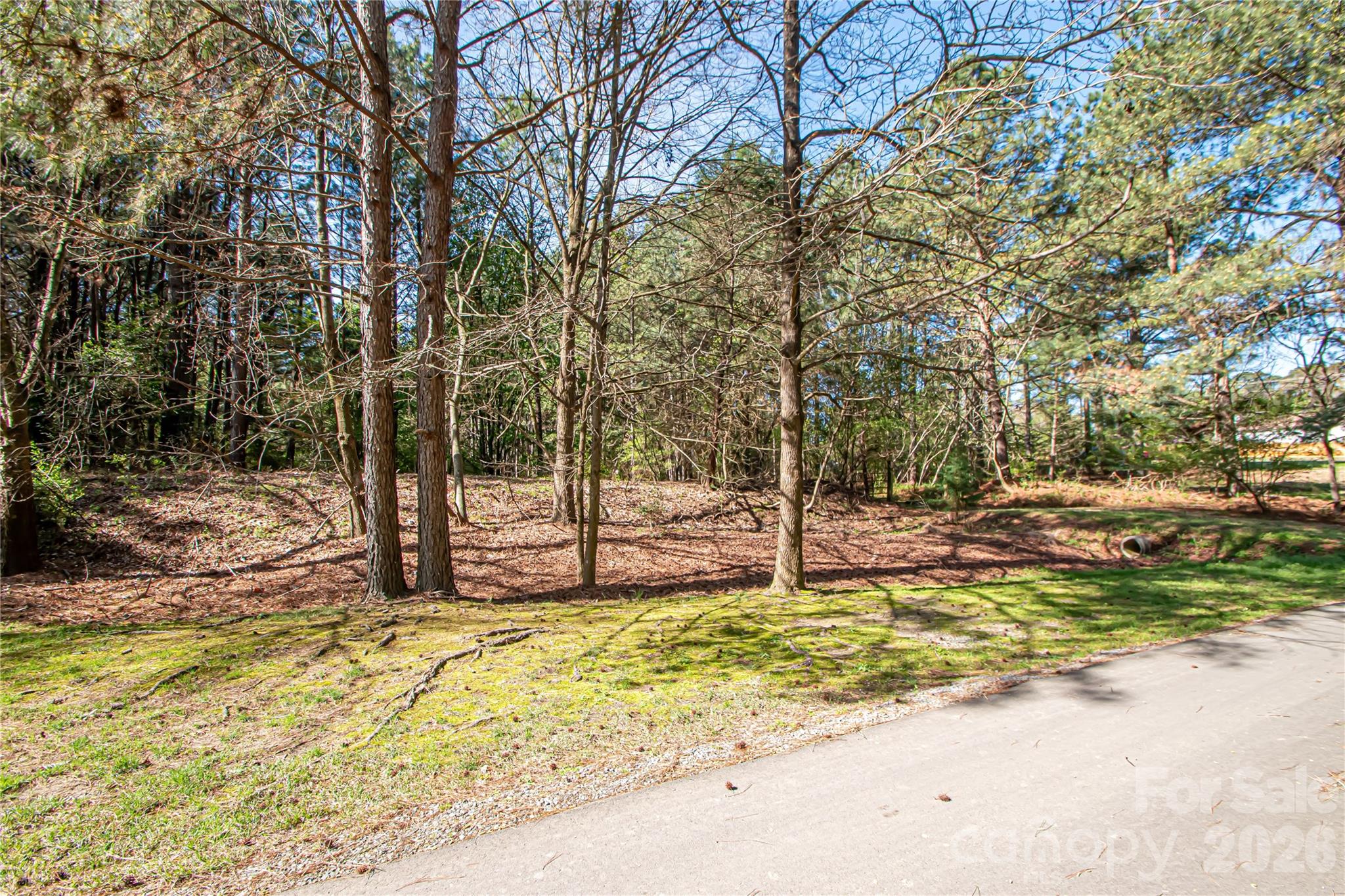 0 Michelle Court Matthews NC 28104