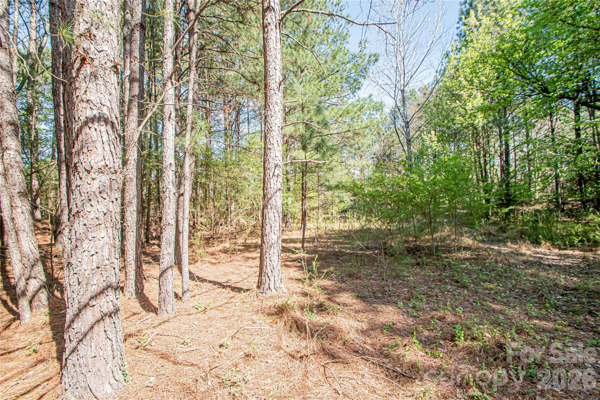 0 Michelle Court Matthews NC 28104