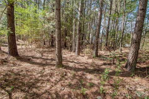 0 Michelle Court Matthews NC 28104