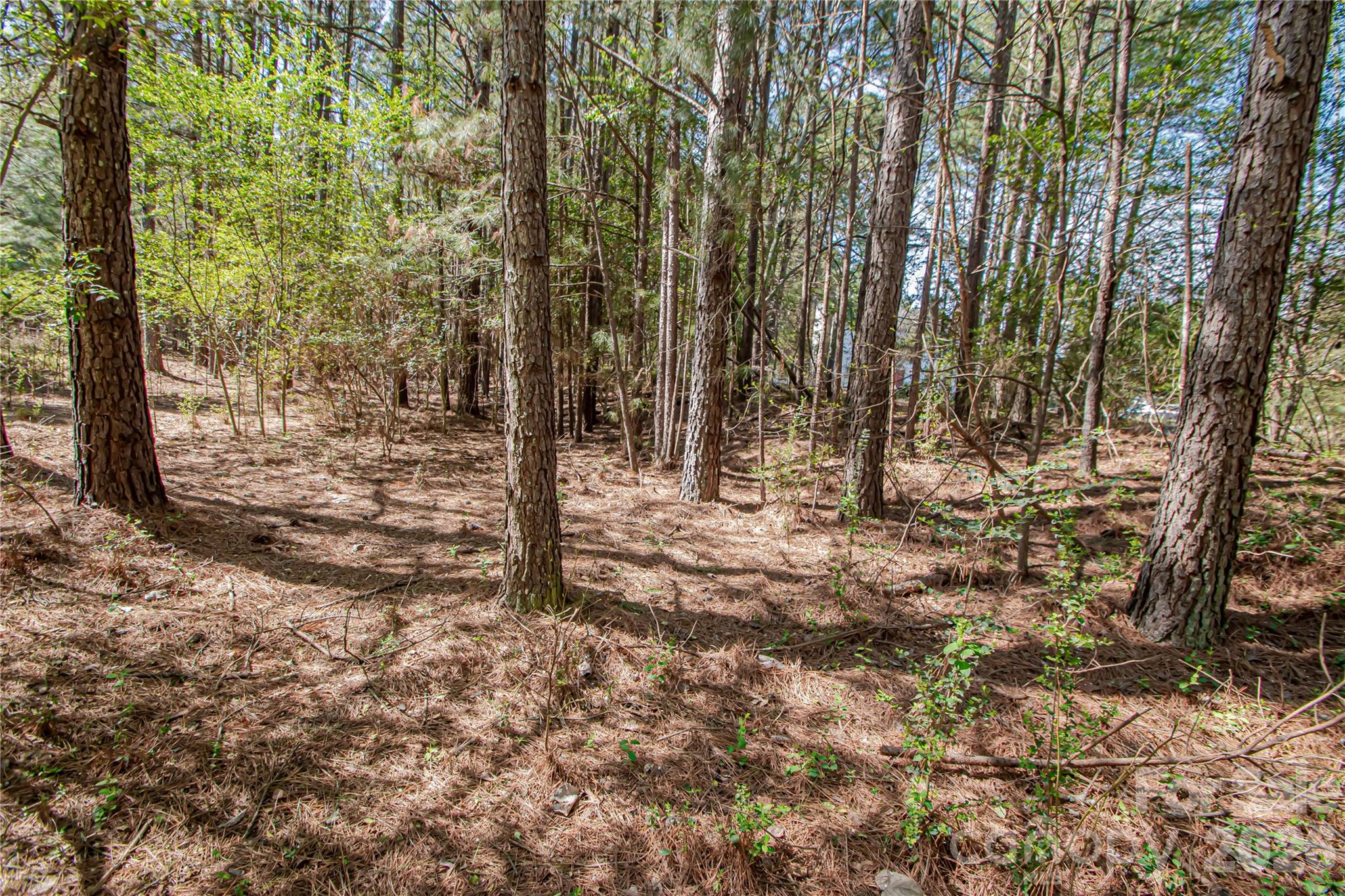 0 Michelle Court Matthews NC 28104