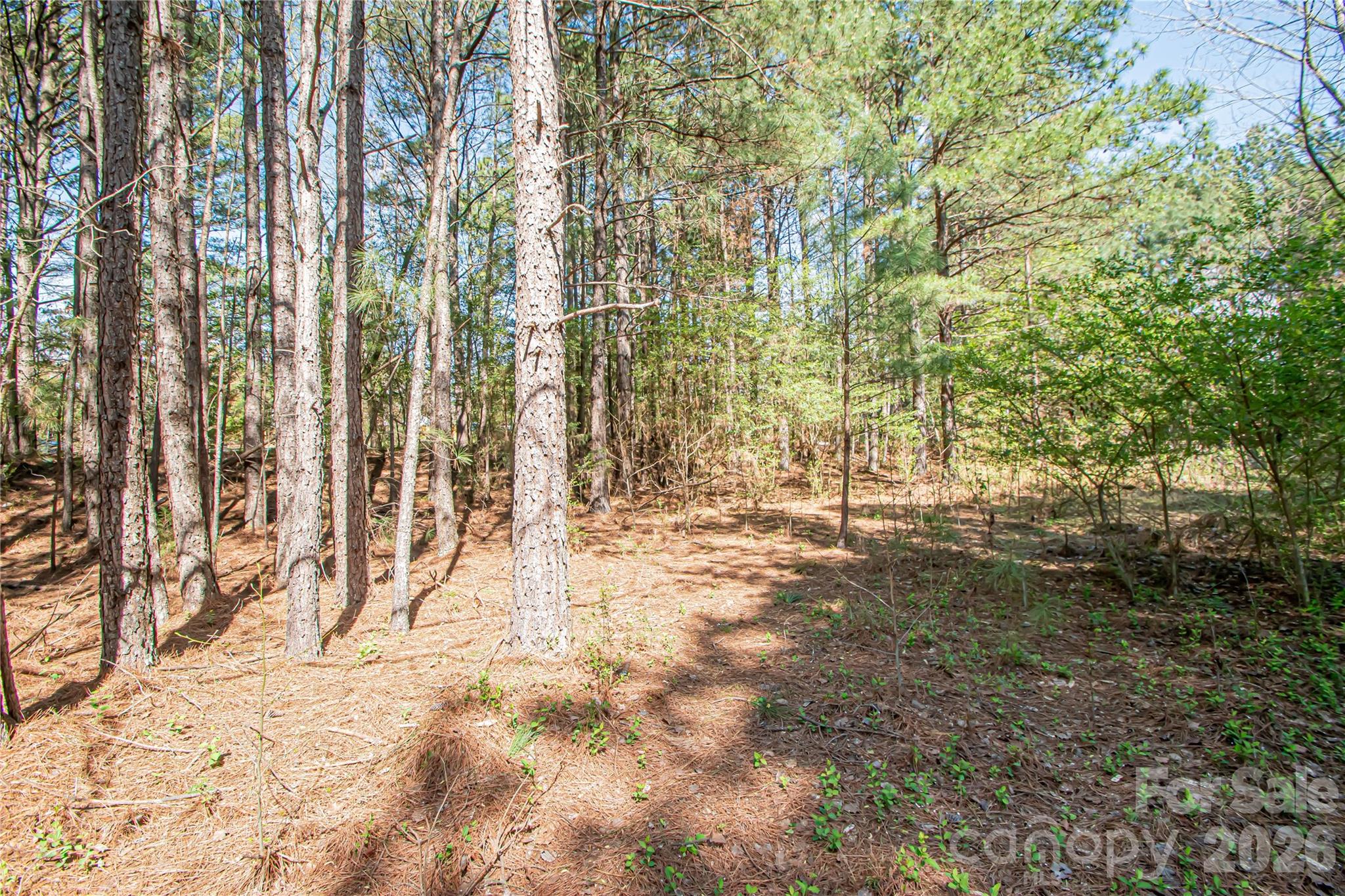 0 Michelle Court Matthews NC 28104