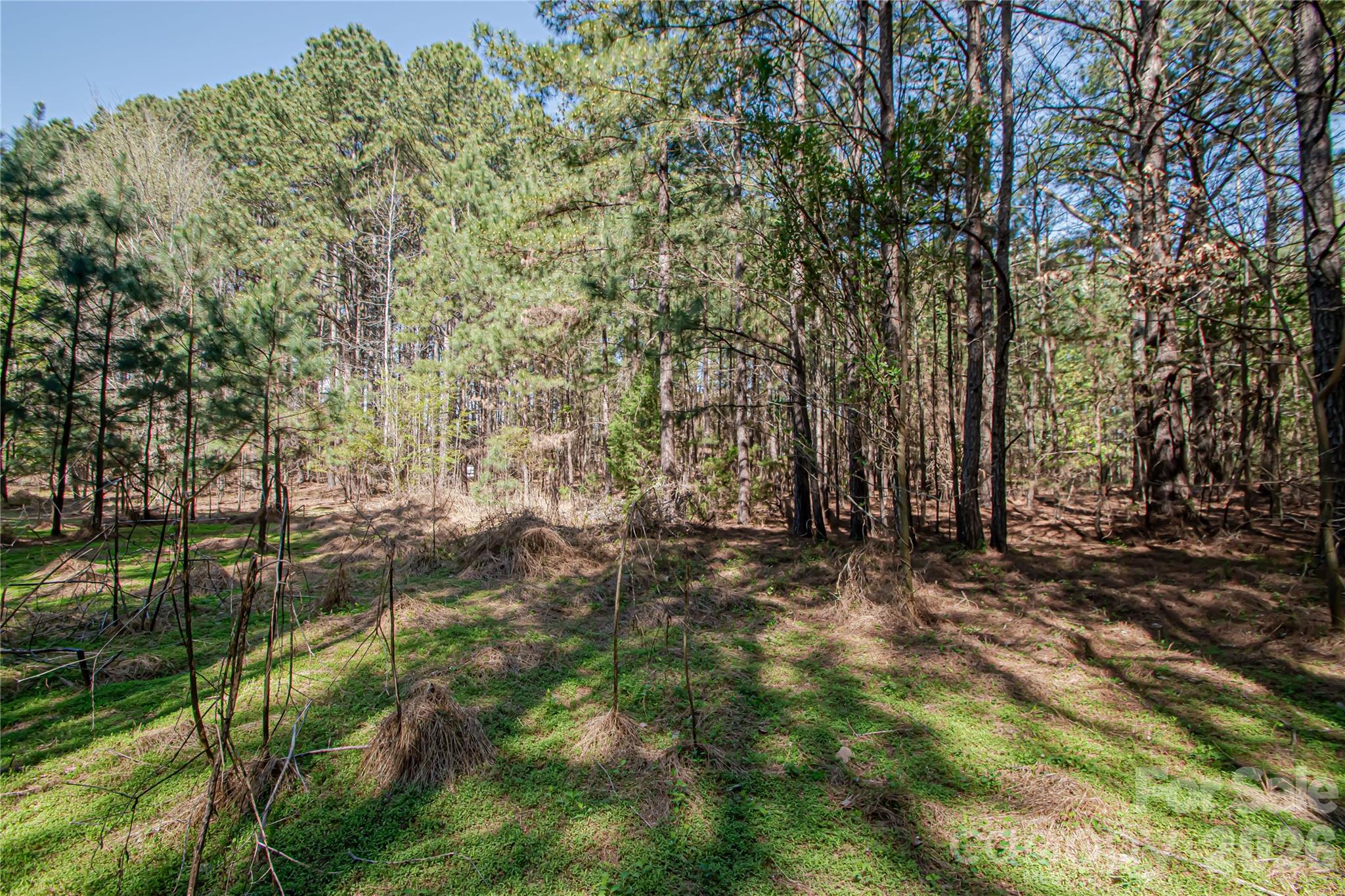 0 Michelle Court Matthews NC 28104