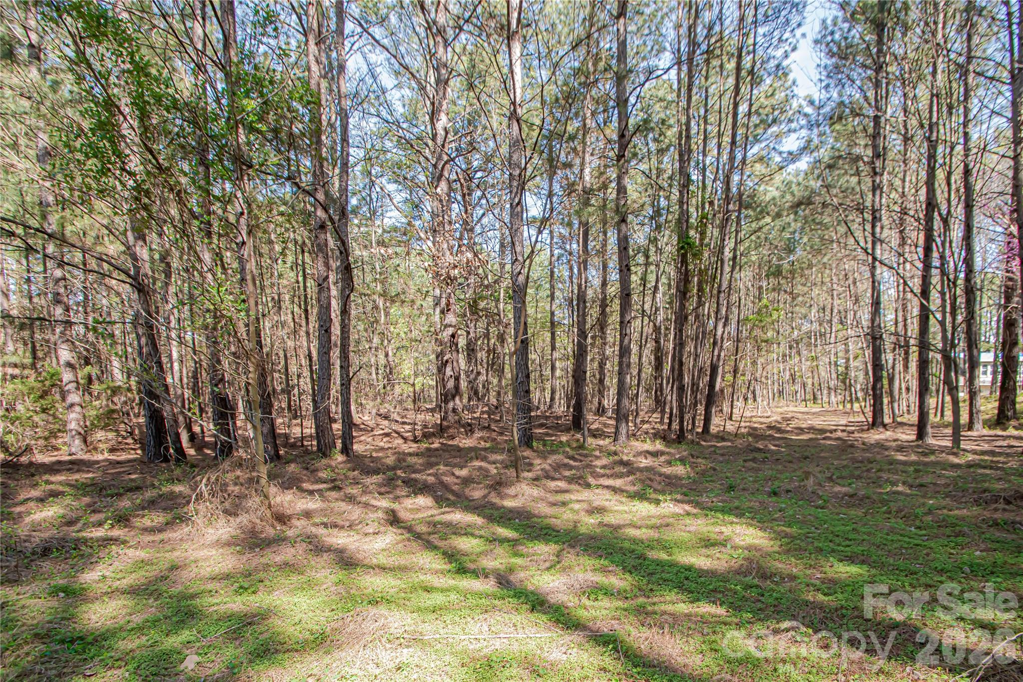 0 Michelle Court Matthews NC 28104