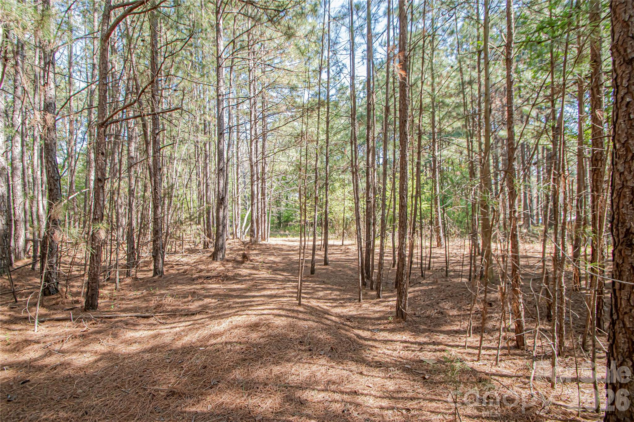 0 Michelle Court Matthews NC 28104