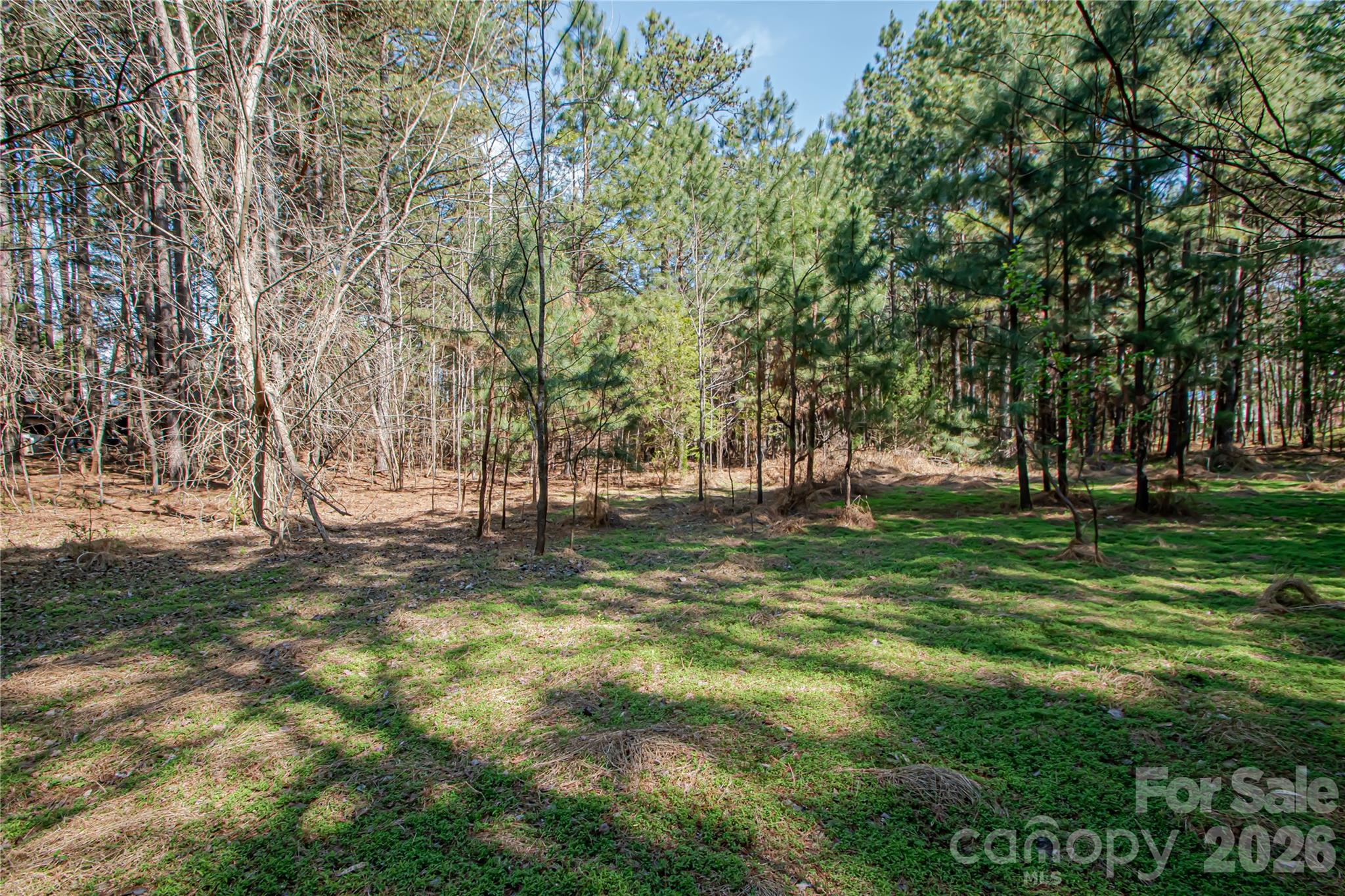 0 Michelle Court Matthews NC 28104