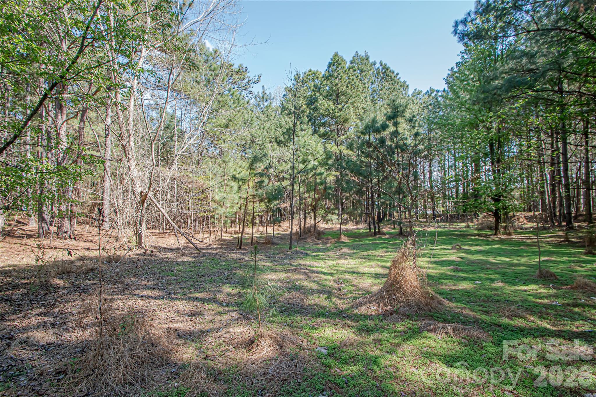 0 Michelle Court Matthews NC 28104