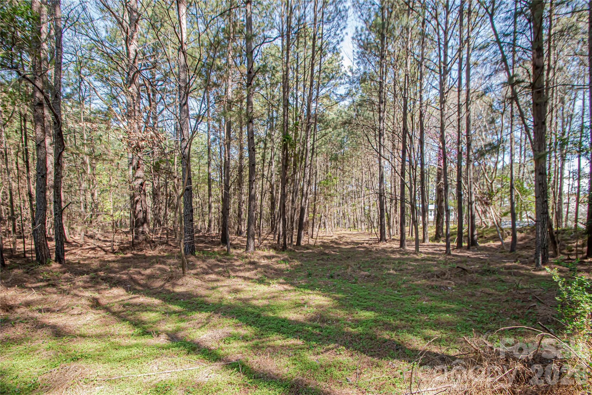 0 Michelle Court Matthews NC 28104