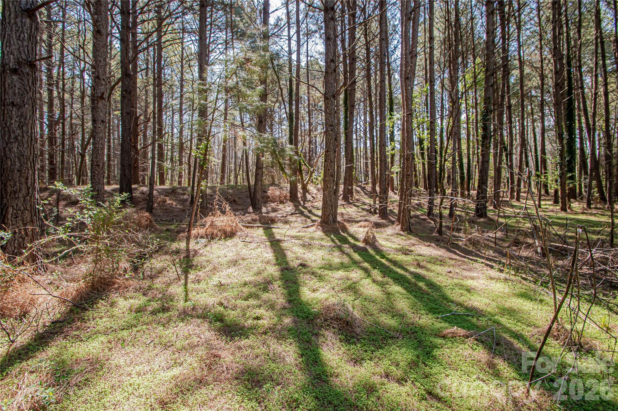 0 Michelle Court Matthews NC 28104