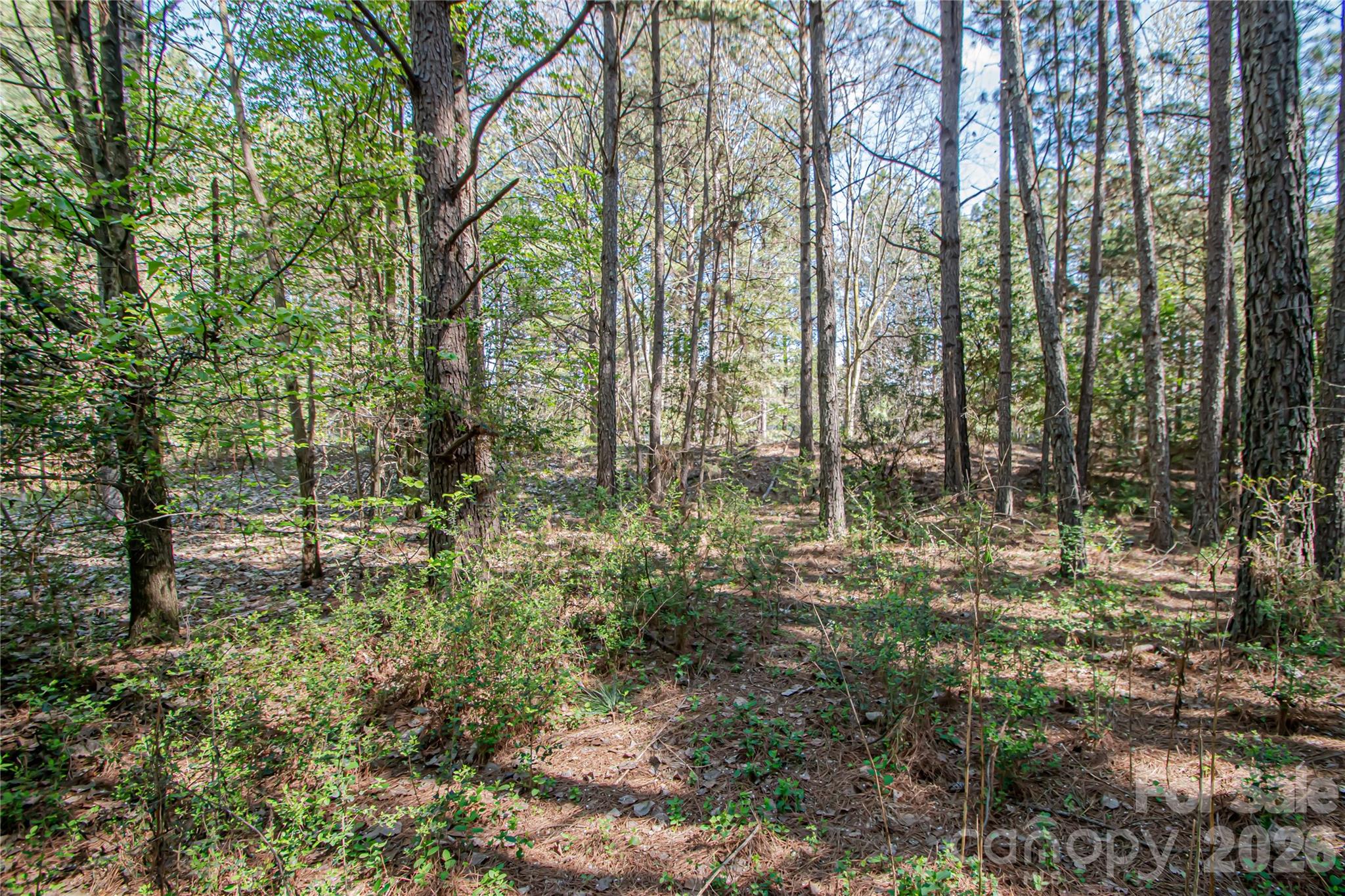 0 Michelle Court Matthews NC 28104