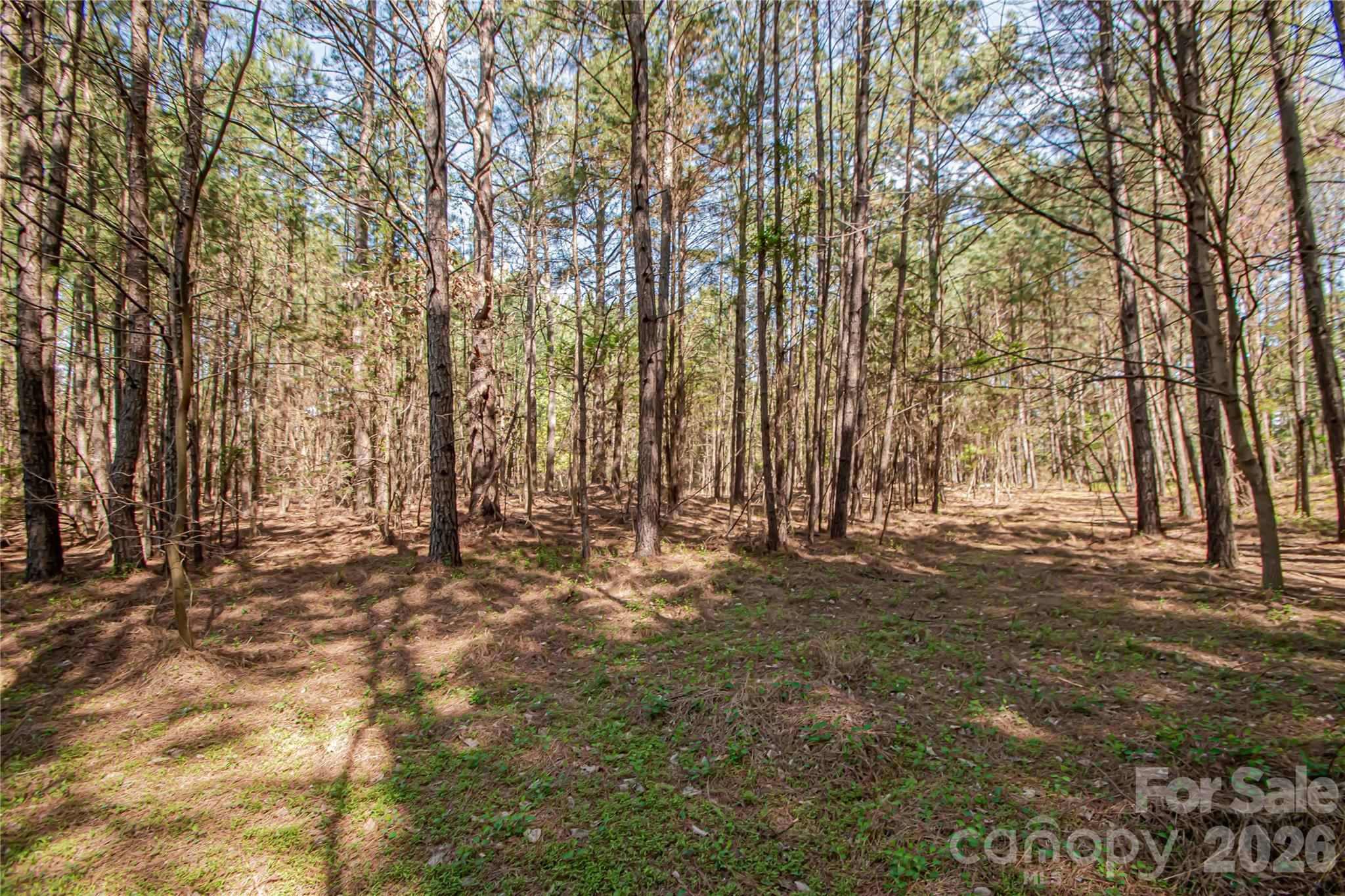 0 Michelle Court Matthews NC 28104