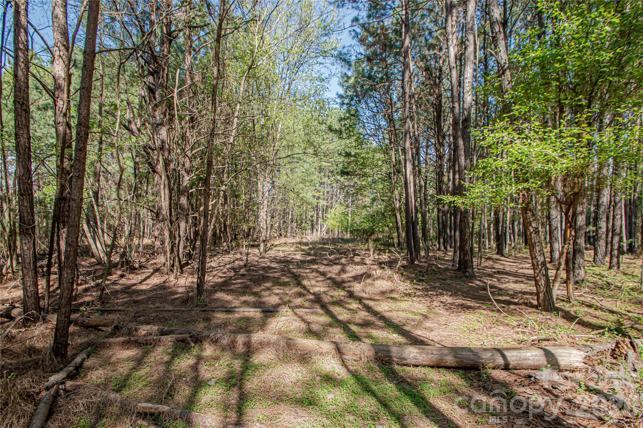 0 Michelle Court Matthews NC 28104