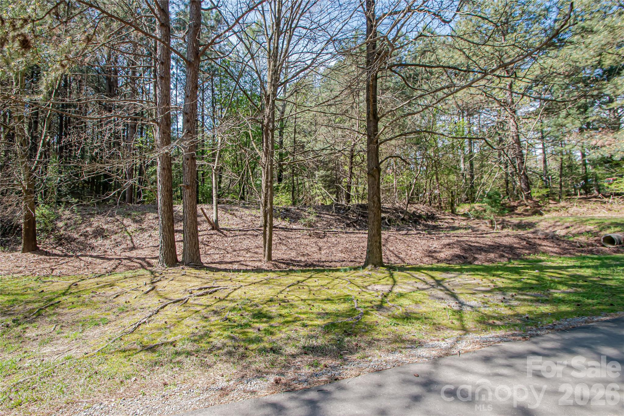 0 Michelle Court Matthews NC 28104