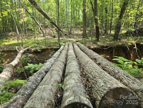 Lot 10 State Line Road Mooresboro NC 28114