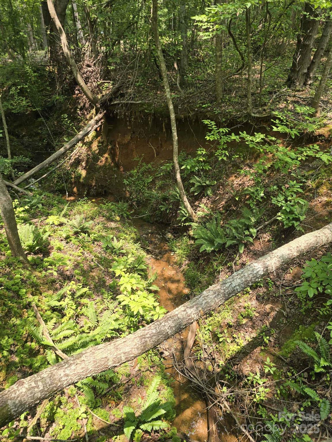 Lot 10 State Line Road Mooresboro NC 28114