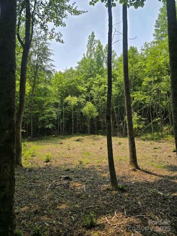 Lot 10 State Line Road Mooresboro NC 28114