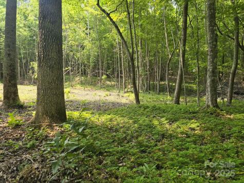 Lot 10 State Line Road Mooresboro NC 28114