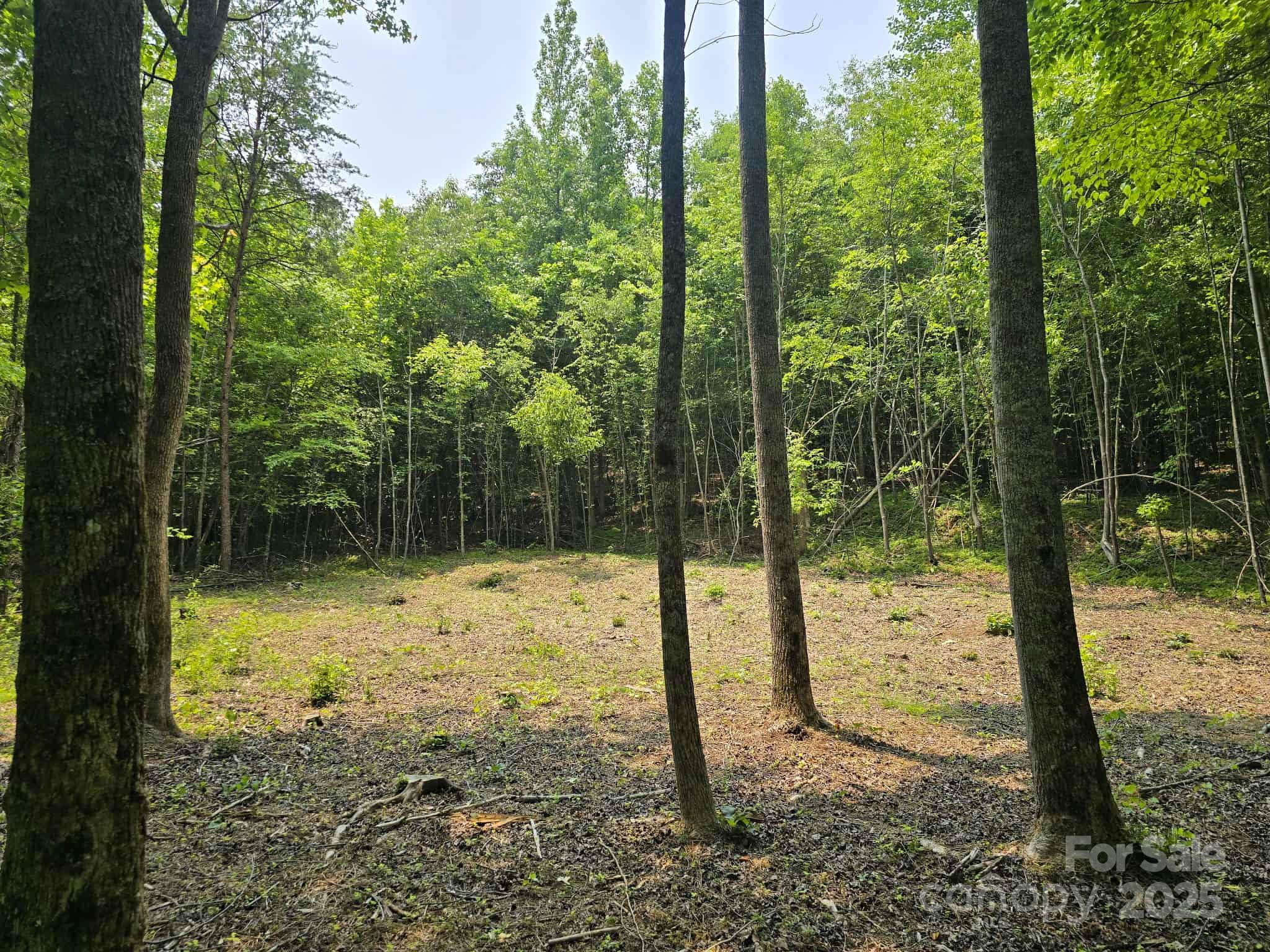 Lot 10 State Line Road Mooresboro NC 28114