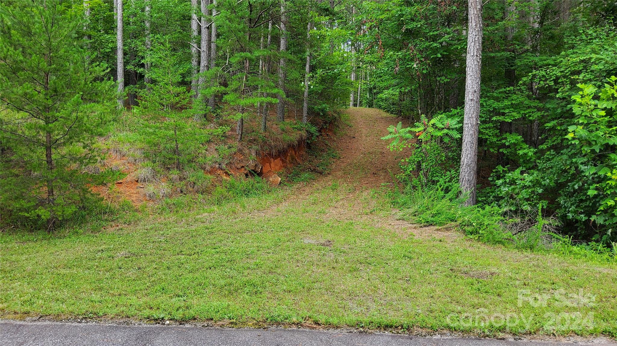 0 Sunset Drive Mill Spring NC 28756