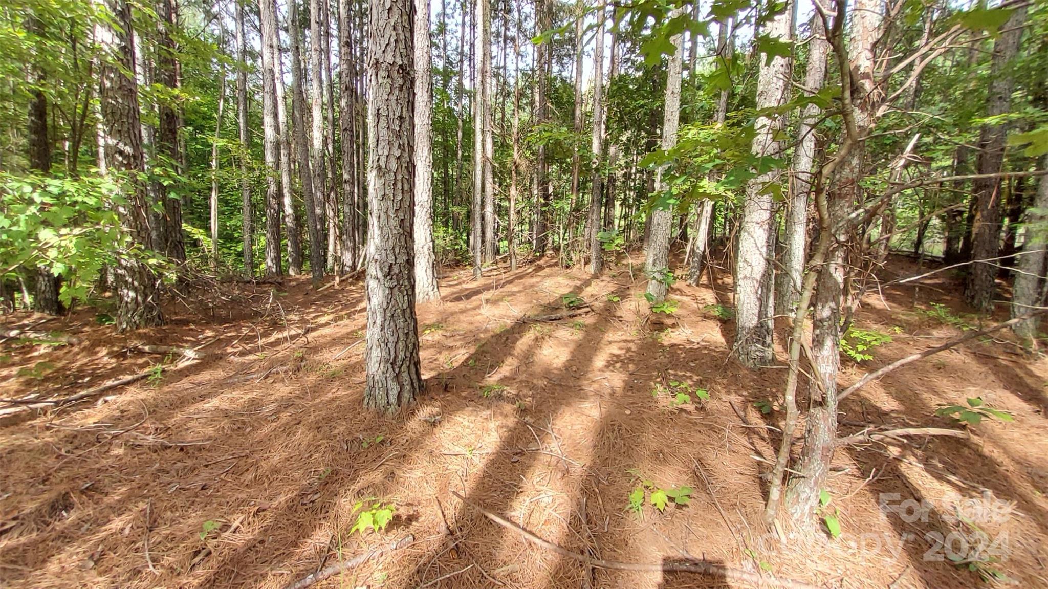 0 Sunset Drive Mill Spring NC 28756